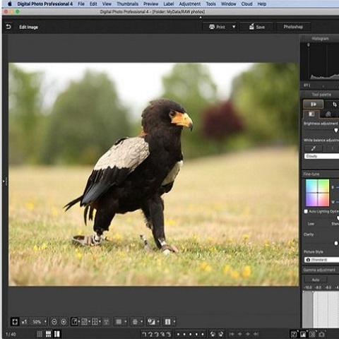 ویرایش تصاویر RAW 